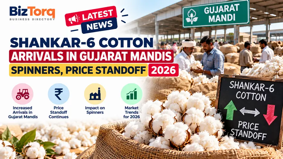 Shankar-6 cotton bales stacked for quality testing at an Ahmedabad spinning mill godown